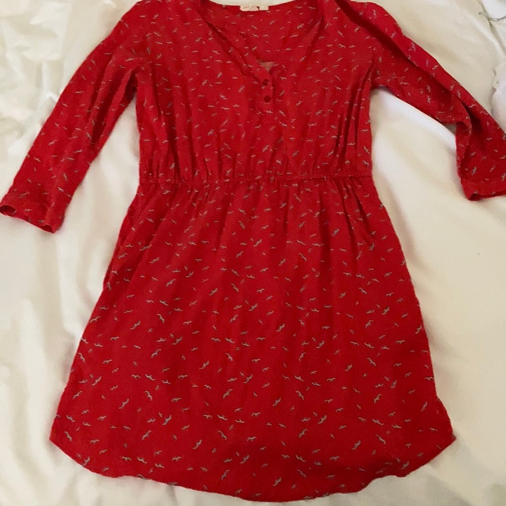 Nordstrom Dress with bird print